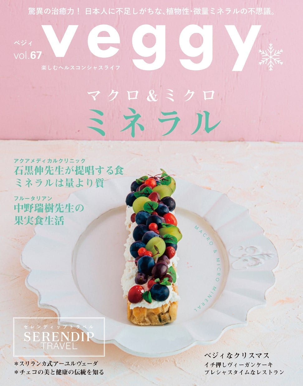 雑誌Veggy掲載のヴィーガンクリスマスケーキ
