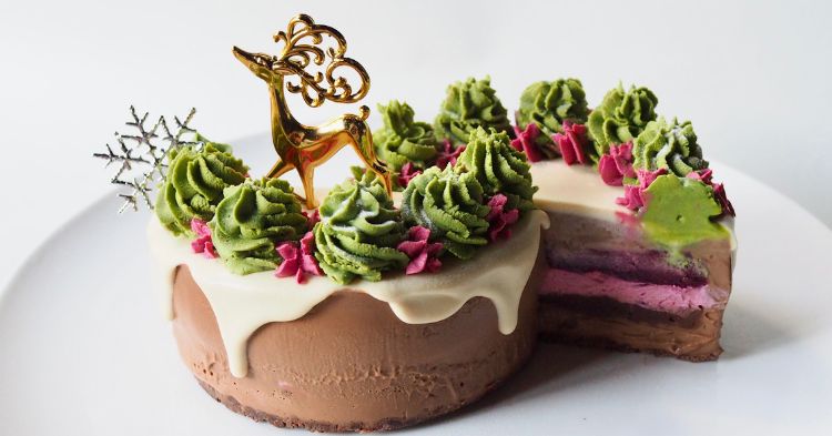 2025年のオーガニック気象品種カカオを使用したヴィーガンチョコレートケーキの通販サイト。クーポンを使ってお得にGET