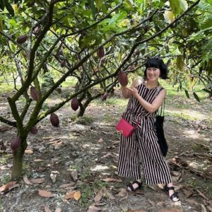 バリ島のオーガニックカカオ