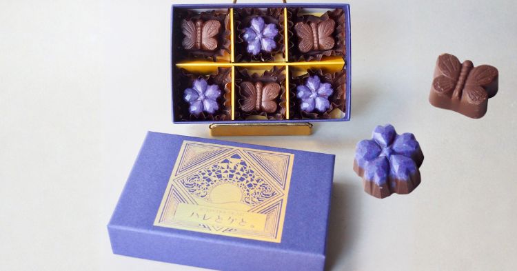 オーガニックカカオを使用したローチョコレートの贈り物